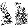 Cellular automata