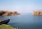 Az Albufera termszetvdelmi terlet