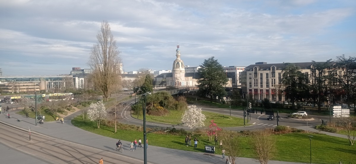 20250307_165152.jpg