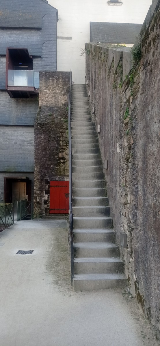 20250307_165713.jpg