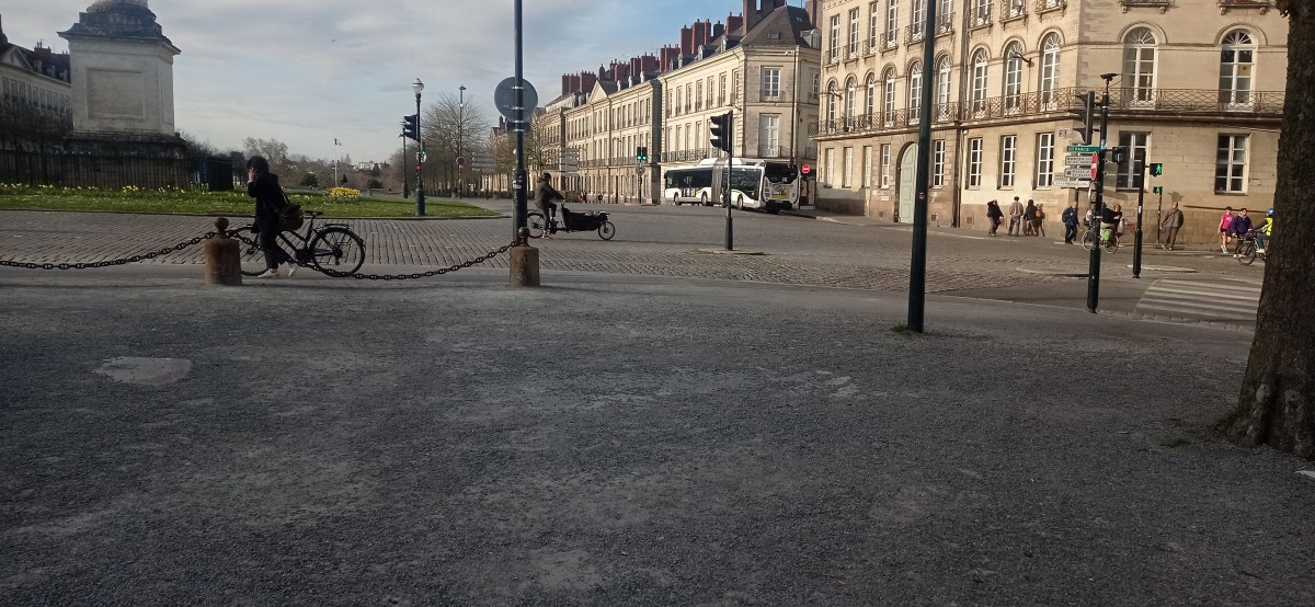20250307_171218.jpg