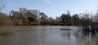 20250306_143157.jpg