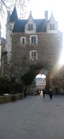 20250307_171310.jpg
