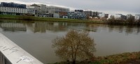 20250308_113228.jpg