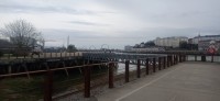 20250308_115605.jpg