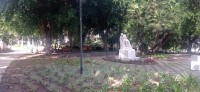20250314_144921.jpg