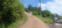 20250403_120501.jpg