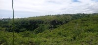 20250403_122309.jpg