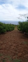 20250403_122603.jpg