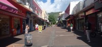 20250404_095903.jpg