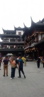 20250531_105948.jpg 20250531_105948.jpg