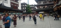 20250531_105956.jpg 20250531_105956.jpg