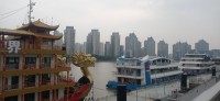 20250531_112317.jpg 20250531_112317.jpg