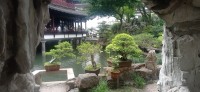 20250531_131854.jpg 20250531_131854.jpg