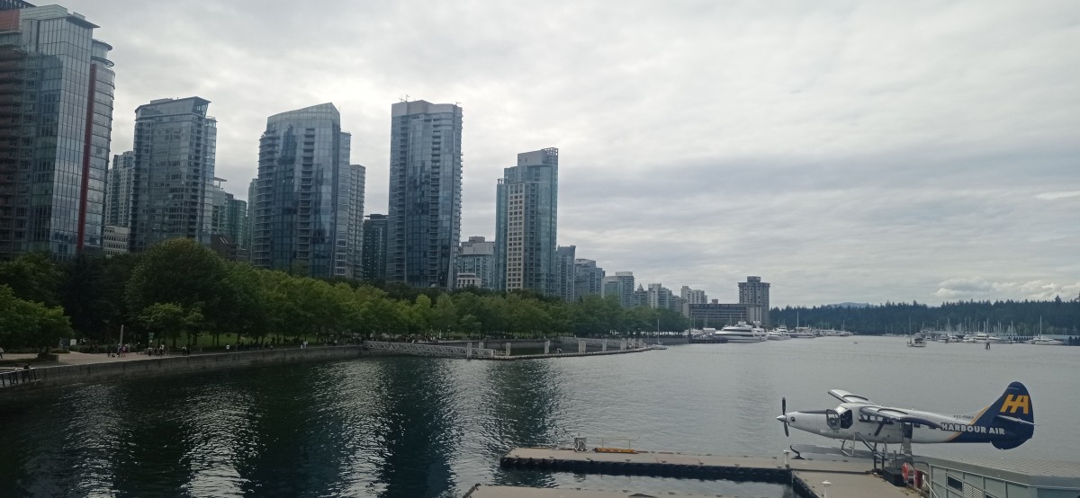 20250817_151546.jpg