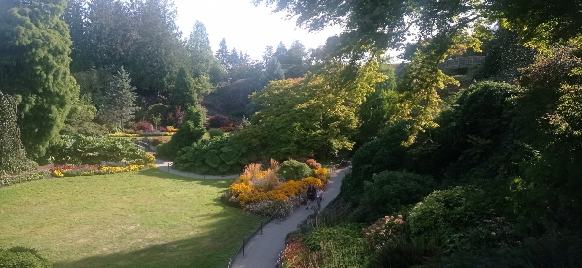 20250821_093736.jpg
