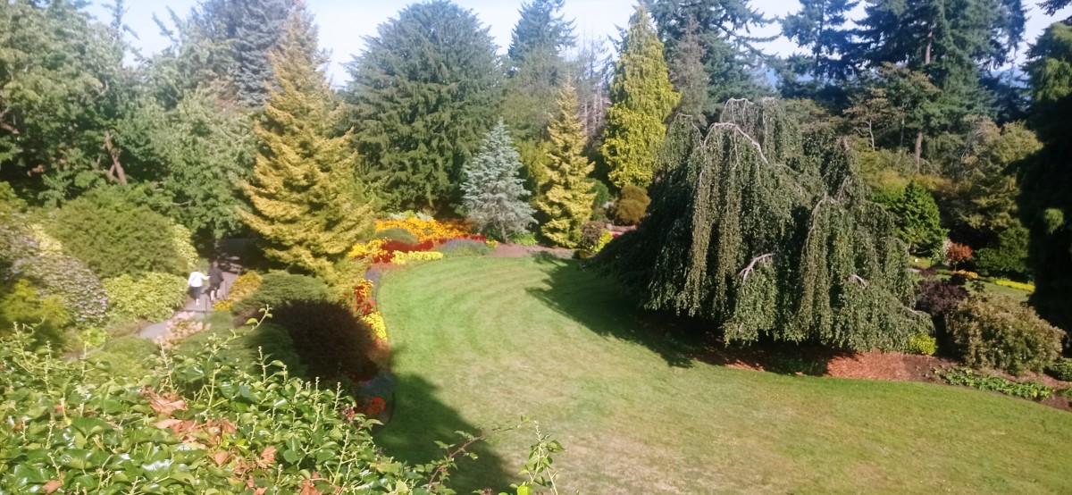 20250821_093815.jpg