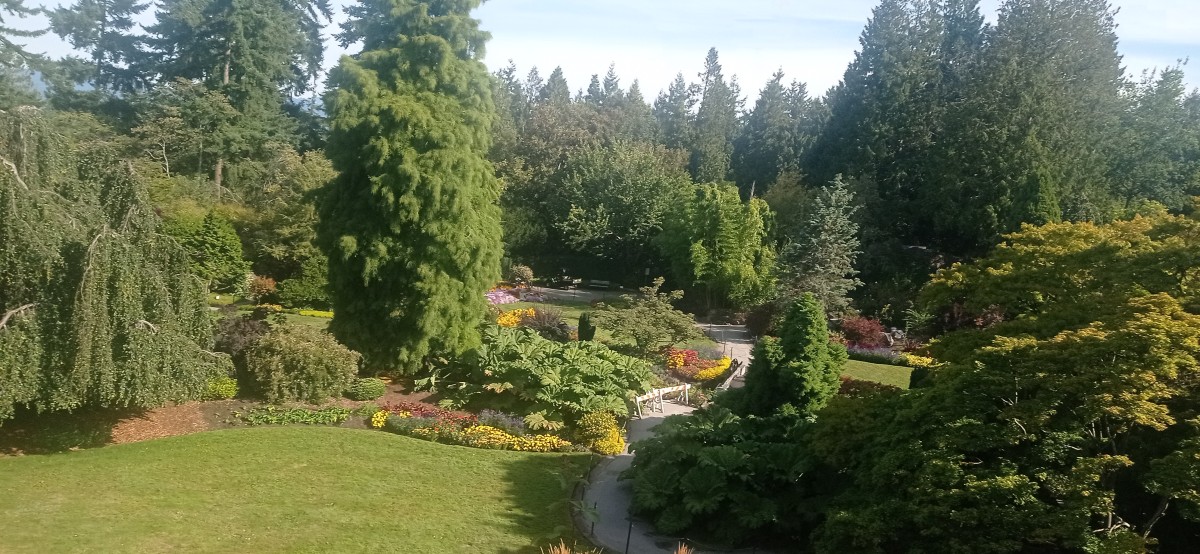 20250821_093816.jpg