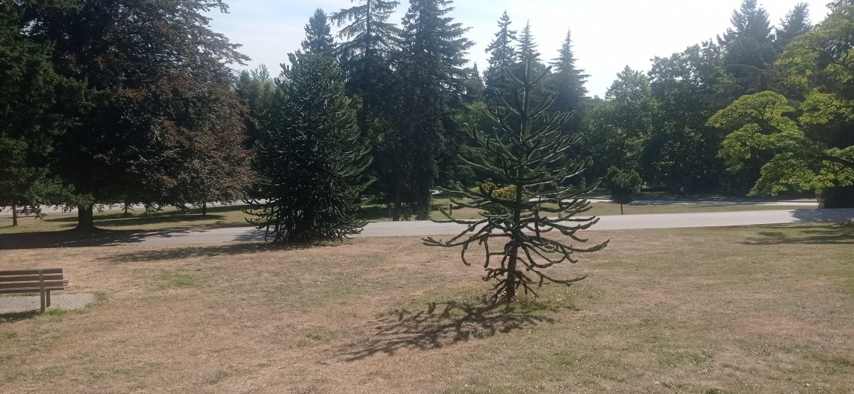 20250821_102847.jpg