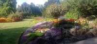 20250821_093542.jpg