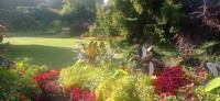 20250821_093629.jpg