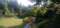 20250821_093736.jpg