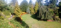 20250821_093815.jpg