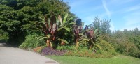 20250821_100204.jpg