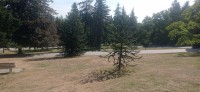 20250821_102847.jpg