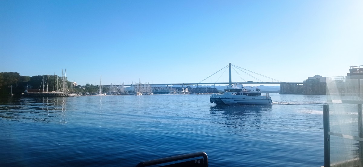20250926_095521.jpg