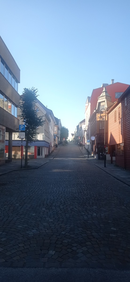 20250926_095815.jpg