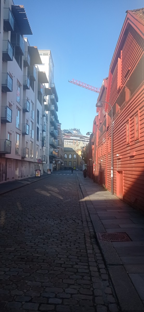 20250926_095848.jpg