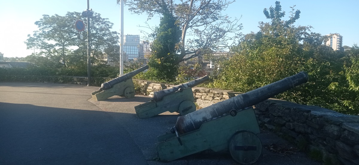 20250926_100856.jpg