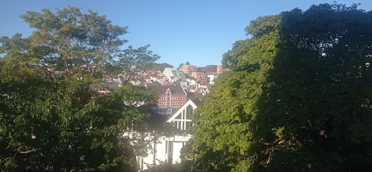 20250926_100900.jpg