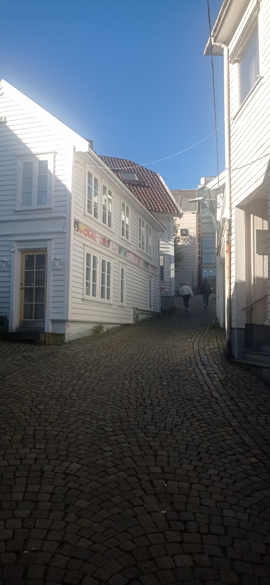 20250926_102637.jpg