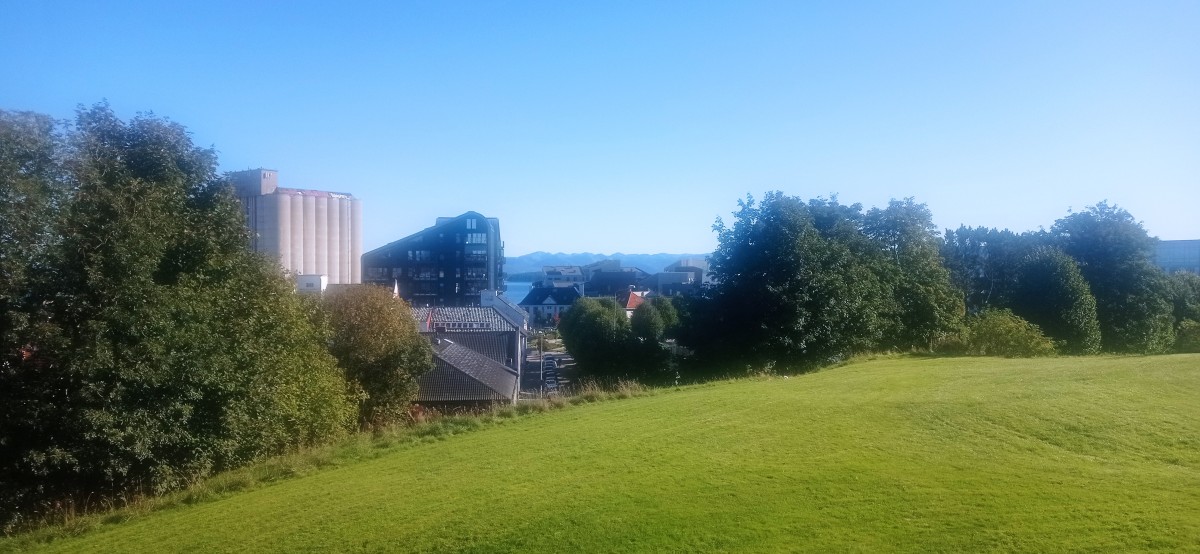 20250926_112725.jpg