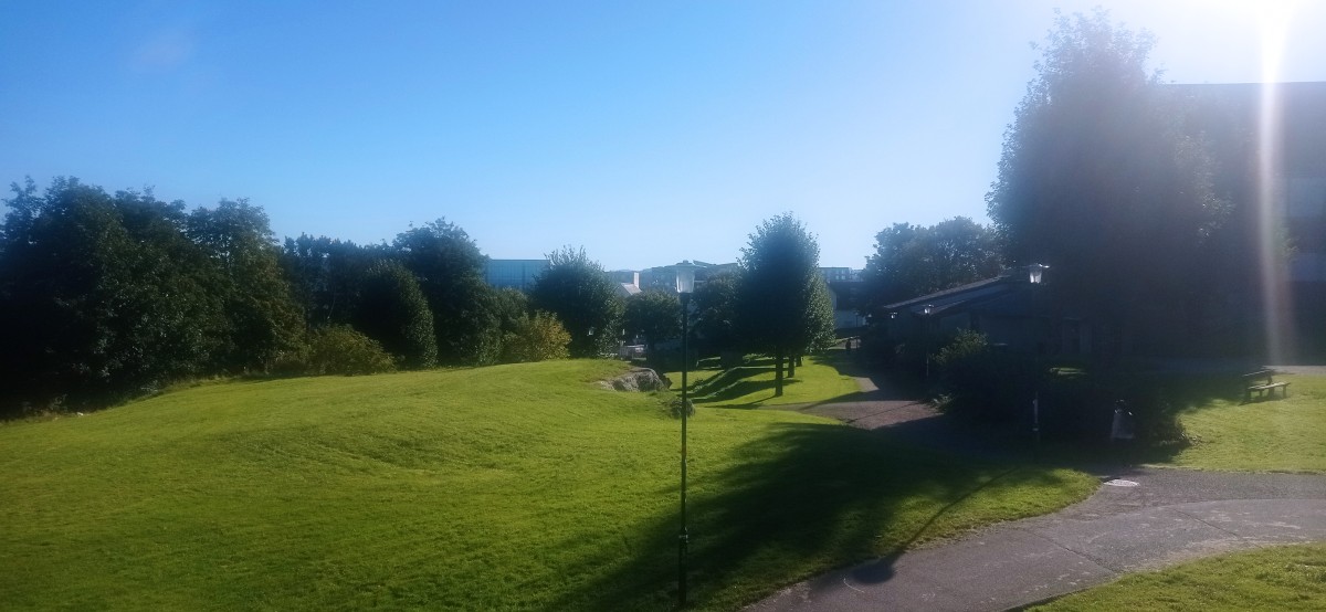 20250926_112728.jpg