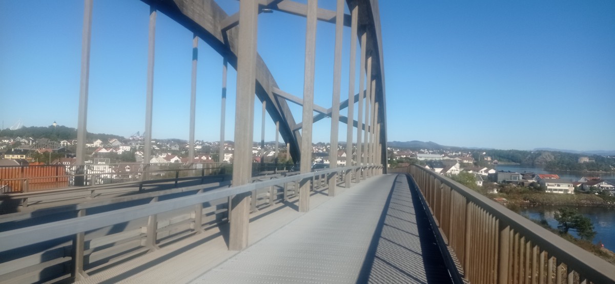 20250926_114428.jpg