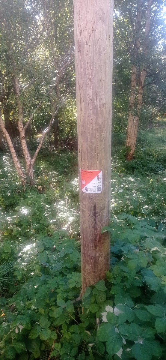 20250926_120220.jpg