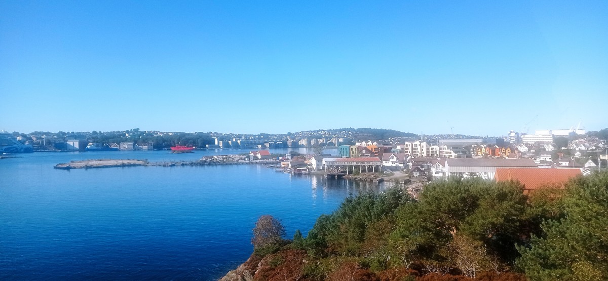 20250926_121651.jpg