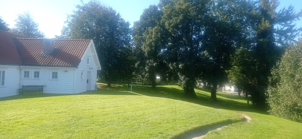 20250926_124359.jpg