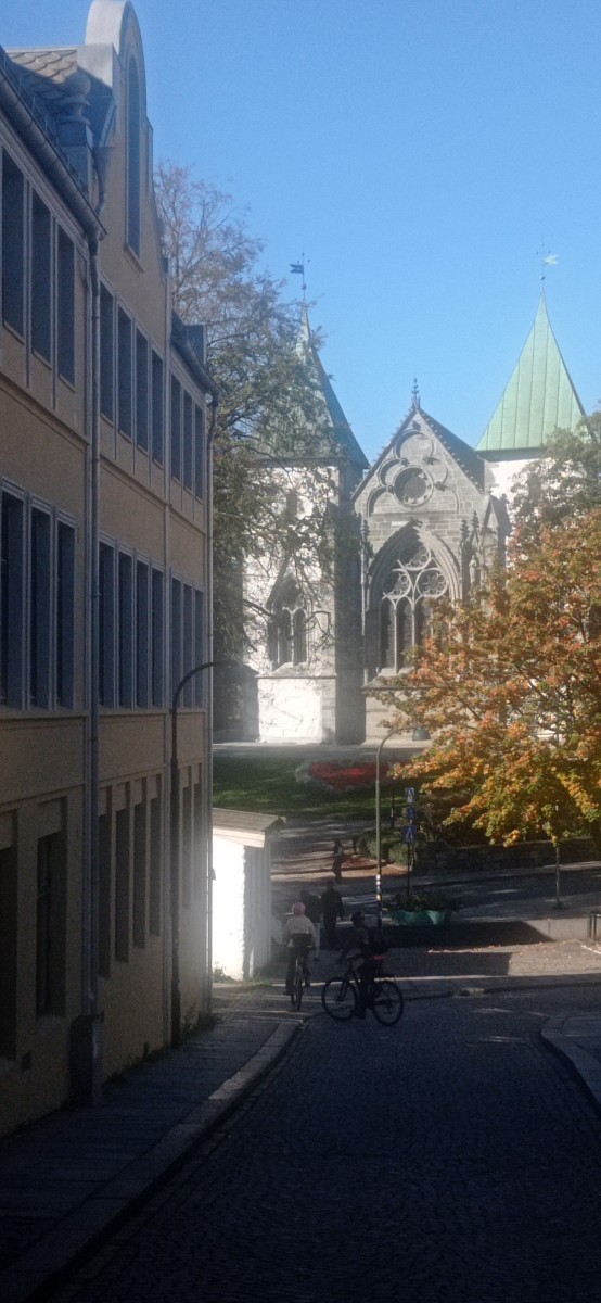 20250926_125115.jpg