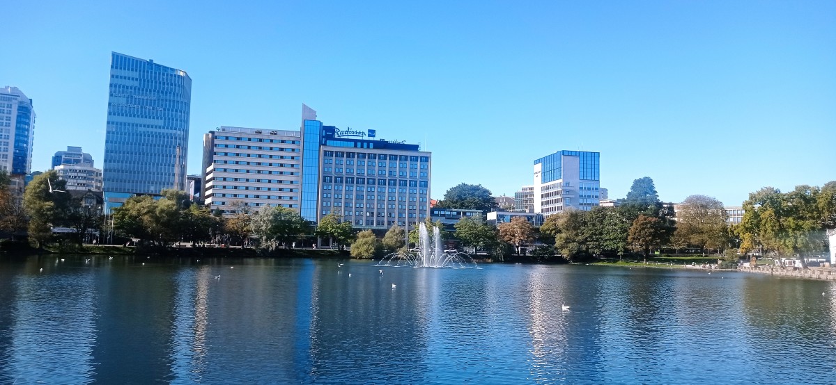 20250926_130418.jpg