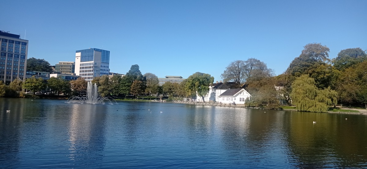 20250926_130452.jpg