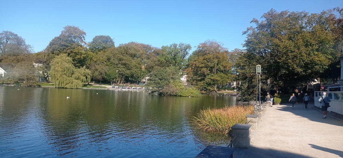 20250926_130454.jpg