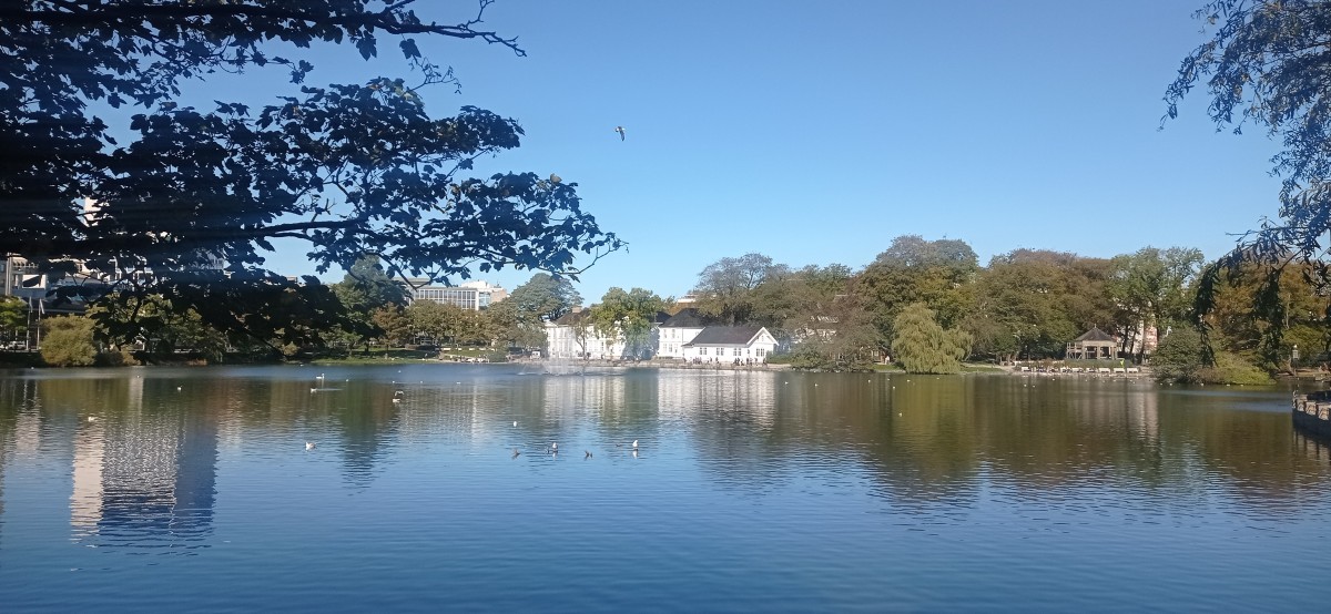 20250926_130639.jpg