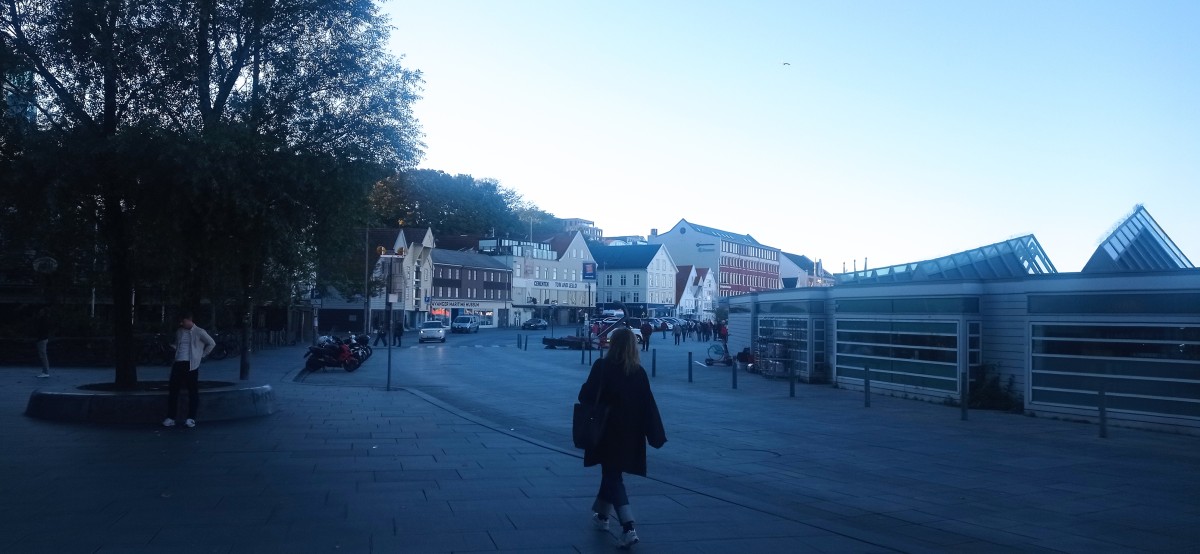 20250926_174940.jpg