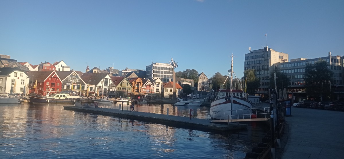 20250926_175206.jpg