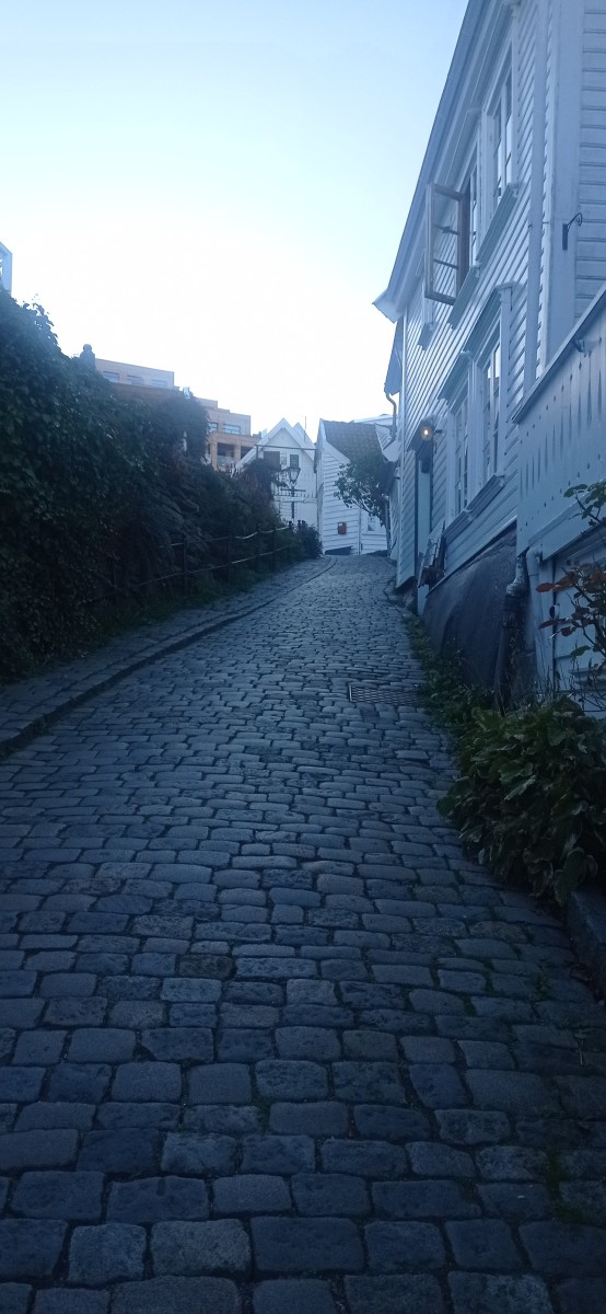 20250926_175537.jpg