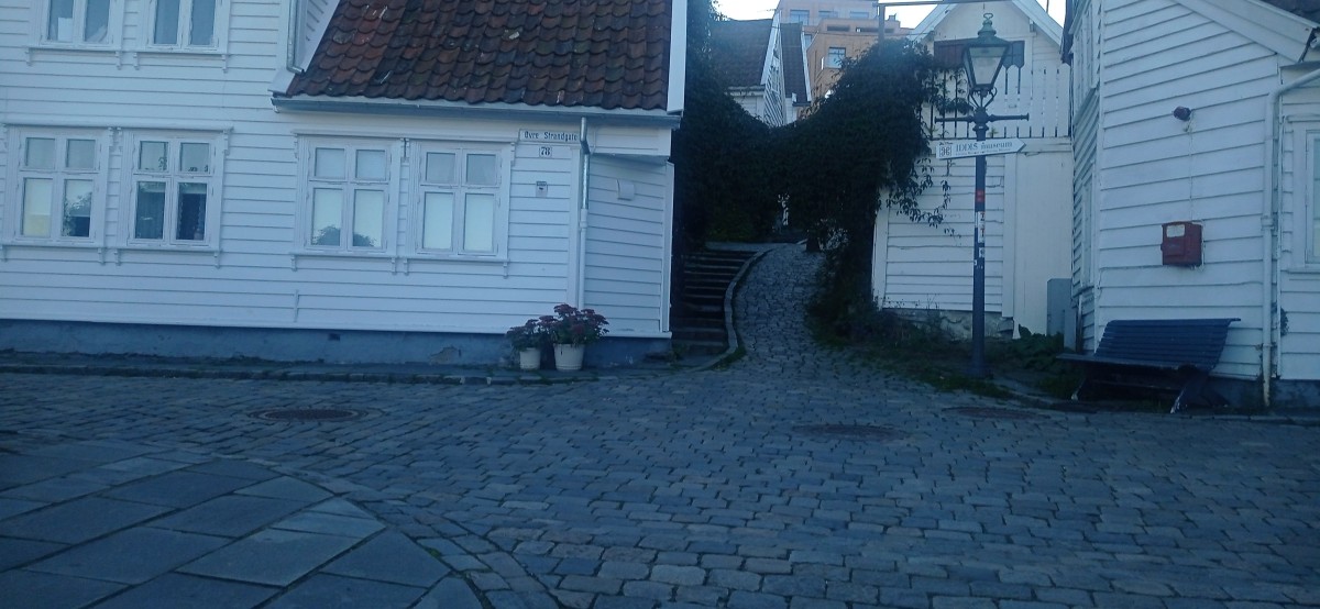 20250926_175609.jpg